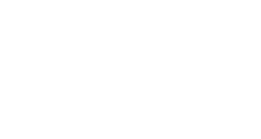 Elevated Wealth Partners LLC