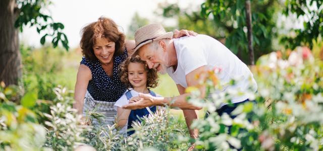 Retired Couple Enjoying Their Time in a Garden With Their Grandchild